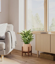 Load image into Gallery viewer, Gentle Pink stand:walnut
