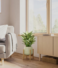 Load image into Gallery viewer, Turquoise stand:bamboo
