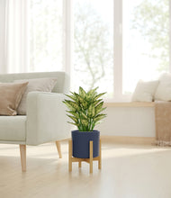 Load image into Gallery viewer, Deep Navy stand:bamboo
