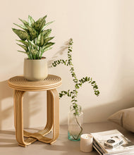 Load image into Gallery viewer, Almond Green
