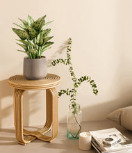 Load image into Gallery viewer, Eternal Gray
