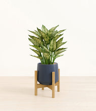 Load image into Gallery viewer, Deep Navy stand:bamboo
