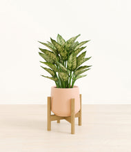 Load image into Gallery viewer, Gentle Pink stand:bamboo
