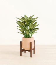 Load image into Gallery viewer, Gentle Pink stand:walnut
