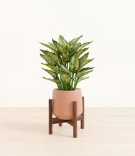 Load image into Gallery viewer, Calm Rose stand:walnut
