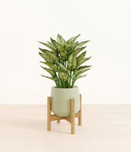 Load image into Gallery viewer, Turquoise stand:bamboo
