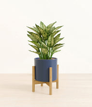 Load image into Gallery viewer, Deep Navy stand:bamboo
