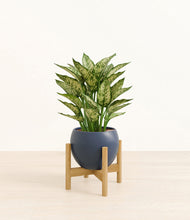 Load image into Gallery viewer, Deep Navy stand:bamboo
