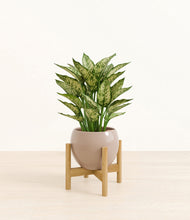 Load image into Gallery viewer, Desert Brown stand:bamboo
