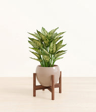 Load image into Gallery viewer, Desert Brown stand:walnut
