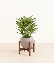 Load image into Gallery viewer, Winter Clouds stand:walnut
