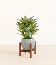 Load image into Gallery viewer, Deep Ocean stand:walnut
