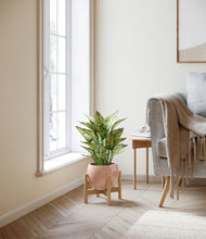 Load image into Gallery viewer, Calm Rose stand:bamboo
