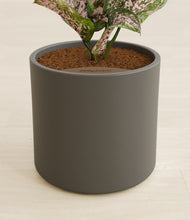 Load image into Gallery viewer, Dark Olive stand:all
