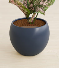Load image into Gallery viewer, Deep Navy stand:all

