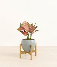 Load image into Gallery viewer, Deep Ocean stand:bamboo

