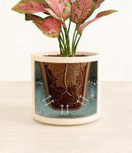 Load image into Gallery viewer, Cream stand:all
