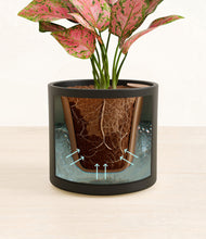 Load image into Gallery viewer, Black stand:all
