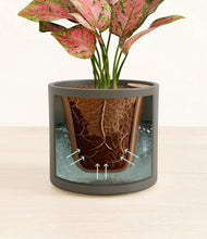 Load image into Gallery viewer, Dark Olive stand:all
