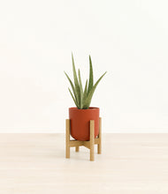Load image into Gallery viewer, Earth Red stand:bamboo
