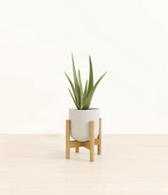 Load image into Gallery viewer, Natural Bamboo stand:bamboo
