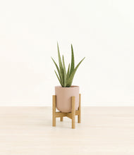 Load image into Gallery viewer, Sandy Pink stand:bamboo
