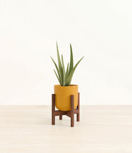 Load image into Gallery viewer, Sunset Orange stand:walnut
