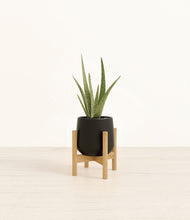 Load image into Gallery viewer, Black stand:bamboo

