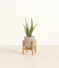 Load image into Gallery viewer, Eternal Gray stand:bamboo
