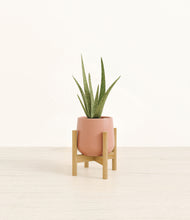 Load image into Gallery viewer, Calm Rose stand:bamboo
