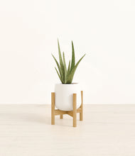 Load image into Gallery viewer, White stand:bamboo
