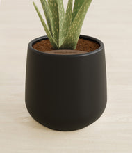 Load image into Gallery viewer, Black stand:all
