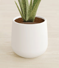 Load image into Gallery viewer, White stand:all
