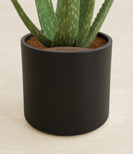 Load image into Gallery viewer, Black stand:all
