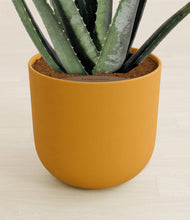 Load image into Gallery viewer, Sunset Orange stand:all
