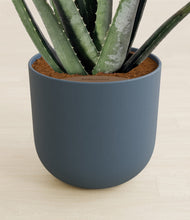 Load image into Gallery viewer, Iron Gray stand:all
