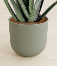 Load image into Gallery viewer, Sage Green stand:all
