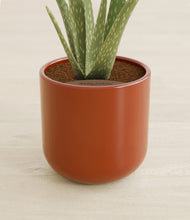 Load image into Gallery viewer, Glossy Red stand:all
