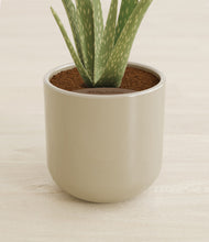 Load image into Gallery viewer, Sage Green stand:all
