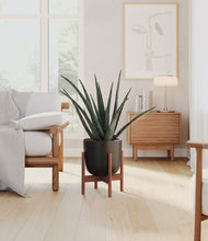 Load image into Gallery viewer, Stone Black stand:walnut
