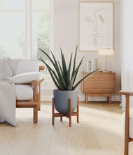 Load image into Gallery viewer, Iron Gray stand:walnut
