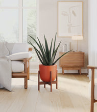 Load image into Gallery viewer, Earth Red stand:walnut
