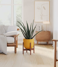 Load image into Gallery viewer, Sunset Orange stand:walnut
