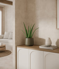 Load image into Gallery viewer, Olive
