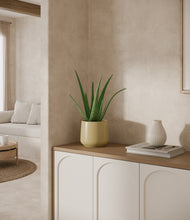 Load image into Gallery viewer, Almond Green
