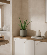 Load image into Gallery viewer, Sage Green
