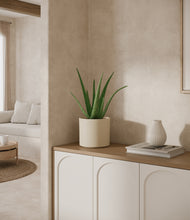 Load image into Gallery viewer, Cream
