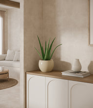 Load image into Gallery viewer, Shiny EggWhite
