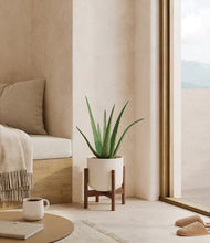 Load image into Gallery viewer, Natural Bamboo stand:walnut
