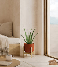 Load image into Gallery viewer, Earth Red stand:bamboo
